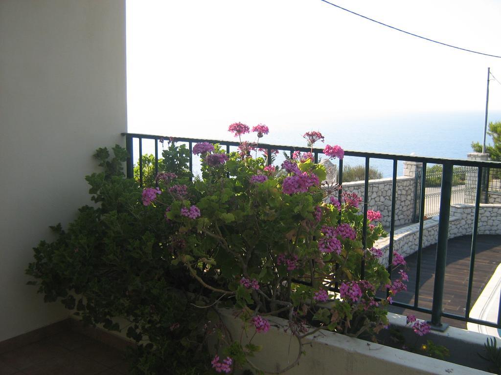 Villa Milia Ayios Nikitas Ngoại thất bức ảnh